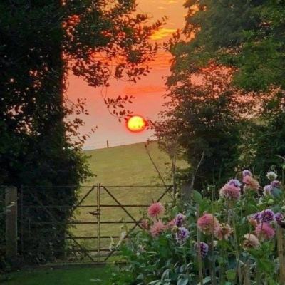 365best体育官网入口