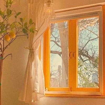 ld乐动体育·中国登录入口