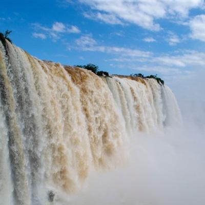 金沙官方版下载