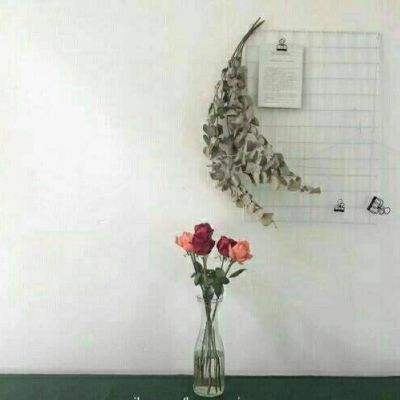 澳门王中王100%的资料手机app下载